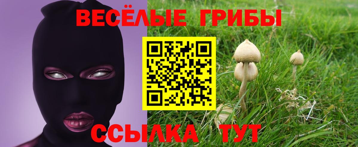 Галлюциногенные грибы MAGIC MUSHROOMS  Вход с VPN  Приморско-Ахтарск  Псилоцибиновые грибы Cubensis 