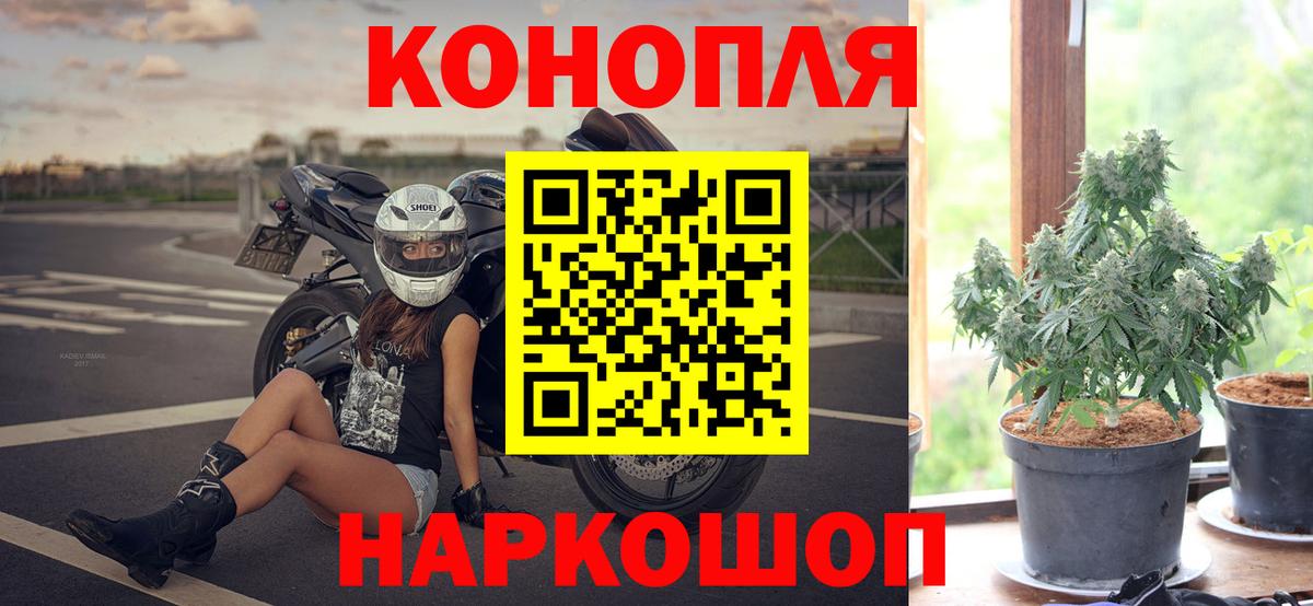 Шишки марихуана планчик Приморско-Ахтарск